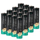 [Upgraded Version] AA Lithium Battery 3000mAh 1.5V Double A Battery Non-Rechargeable 16 Pack